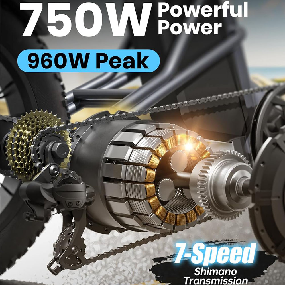 Electric Fat Trike 48V 1000W snowmobile Electric three-wheeled fat ebike 20-24inch