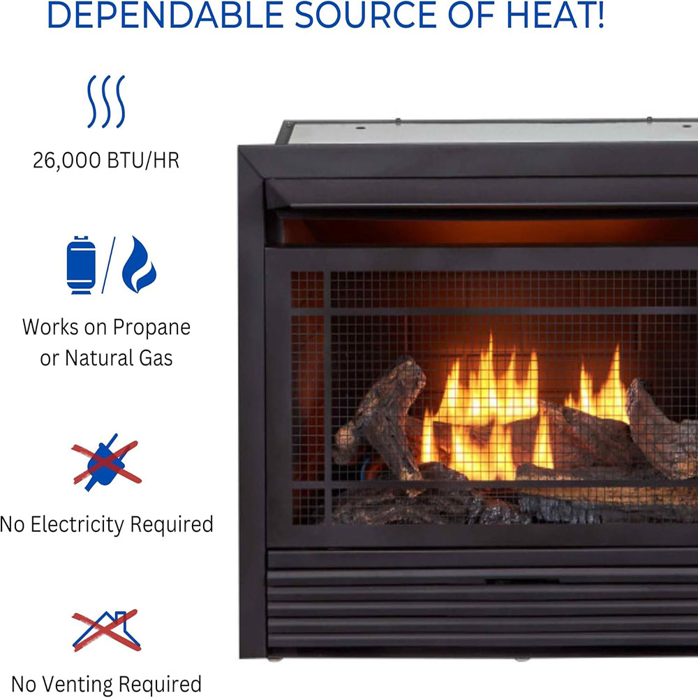 Duluth Forge Dual Fuel Ventless Fireplace Insert with Thermostatic Control